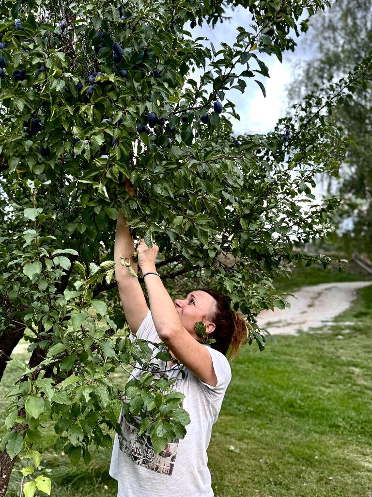 &Scaron;vestky z Novohradsk&yacute;ch hor.